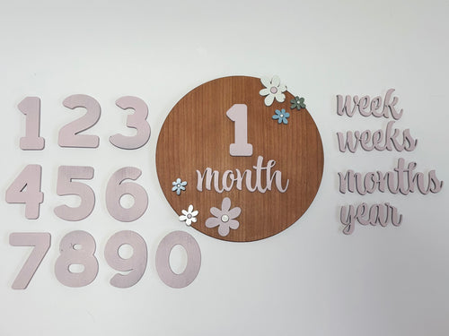 Baby Milestone Marker Wooden Photo Props | Mackenzie & Co. Florals