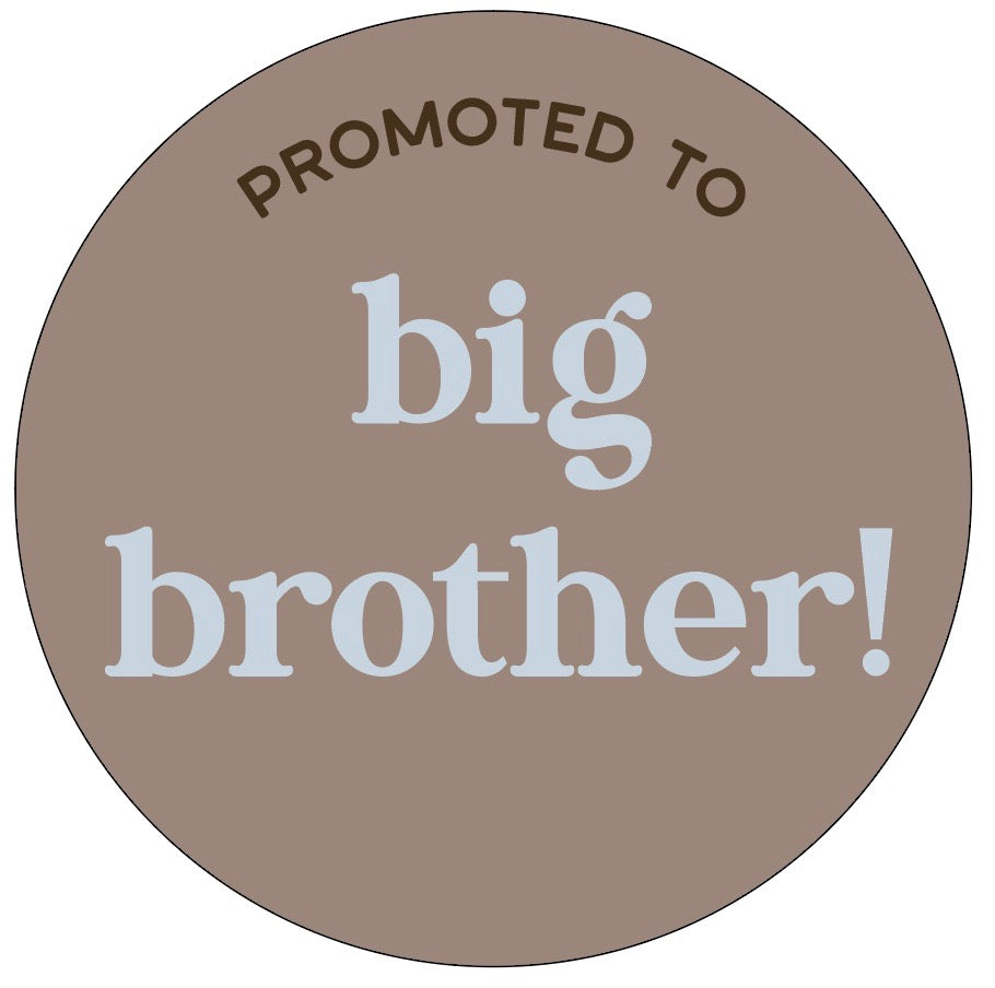 Sibling Announcement Sign | Big Brother | Big Sister